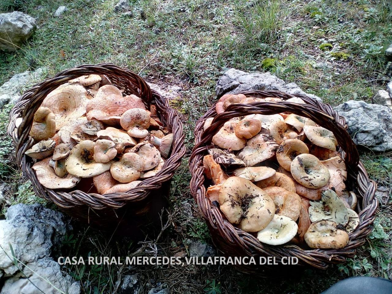 Casa Mercedes Villafranca del Cid Luaran gambar